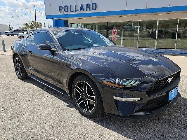 2023 Ford Mustang EcoBoost in Black — front three-quarter view